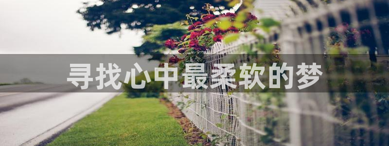 78动漫资料：寻找心中最柔软的梦