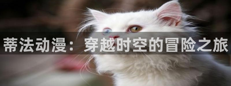 78动漫变形金刚：蒂法动漫：穿越时空的冒险之旅