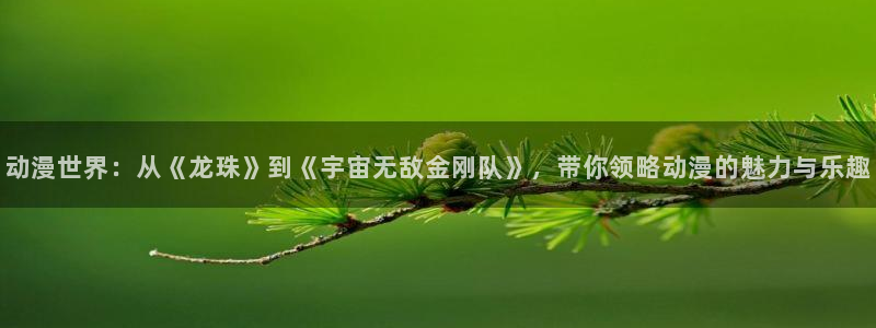 78动漫91：动漫世界：从《龙珠》到《宇宙无敌金刚队》，带你领略动漫的魅力与乐趣